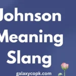 Johnson Meaning Slang: Full Guide, Origins, Usage & Examples 😄 33 Johnson Meaning Slang