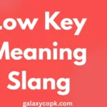 Low Key Meaning Slang