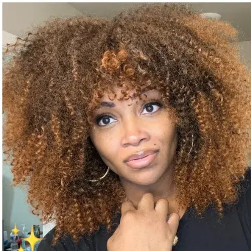 Messy Curly Afro (The Controlled Chaos)