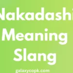 Nakadashi Meaning Slang