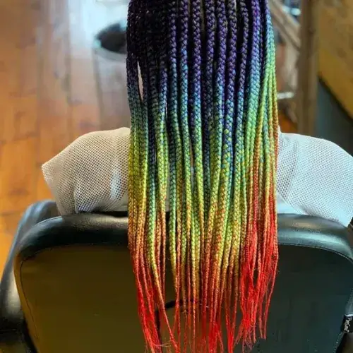 Rainbow Streak Braids