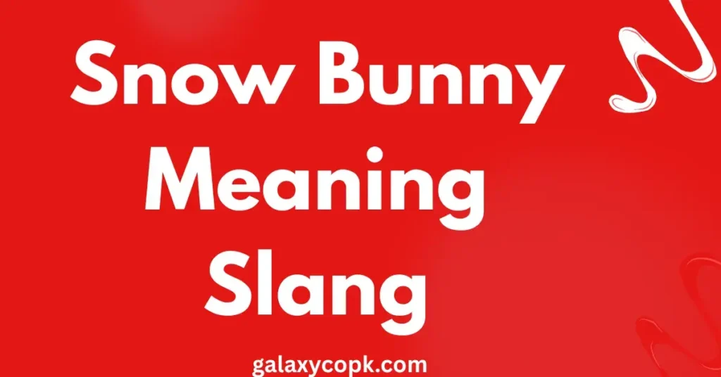 Snow Bunny Meaning Slang