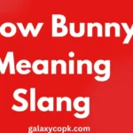 Snow Bunny Meaning Slang: A Complete Guide ❄️🐰 3 Snow Bunny Meaning Slang