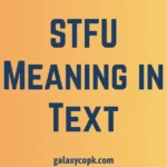 STFU Meaning in Text