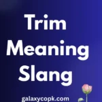 trim meaning slang