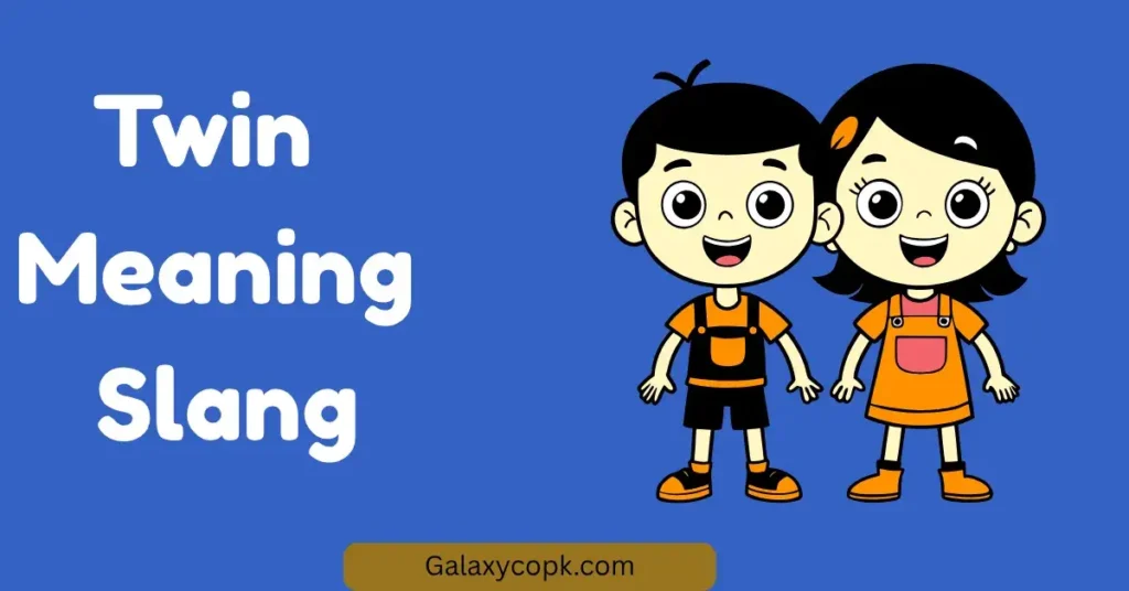 Twin Meaning Slang