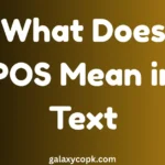 What Does POS Mean in Text? Full Meaning, Uses & Examples 3 What Does POS Mean in Text