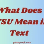 What Does STSU Mean in Text