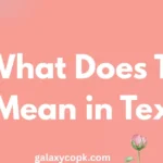 What Does TY Mean in Text? (Complete Guide with Examples) 3 What Does TY Mean in Text