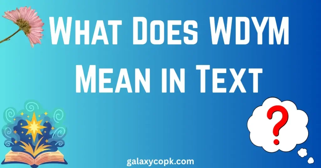 What Does WDYM Mean in Text