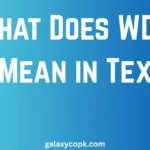 What Does WDYM Mean in Text