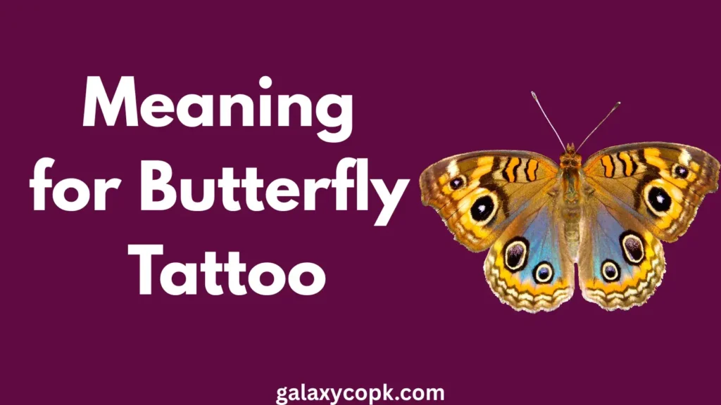 Meaning for Butterfly Tattoo: Symbolism, Spiritual Messages 8 Meaning for Butterfly Tattoo