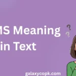 NMMS Meaning in Text: What It Really Means in Social Media 2026 3 NMMS Meaning in Text