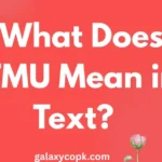 TMU Mean in Text