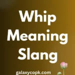 Whip Meaning Slang
