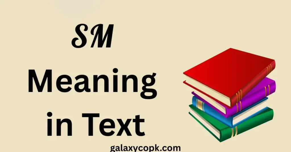 SM Meaning in Text: What It Means in Chats and How People Use It 1 SM Meaning in Text
