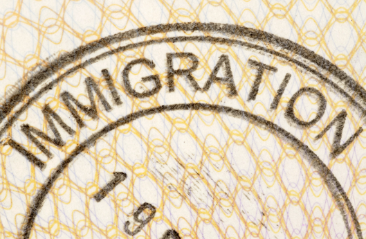 Portugal Visa Background Checks: Police Certificate Requirements 